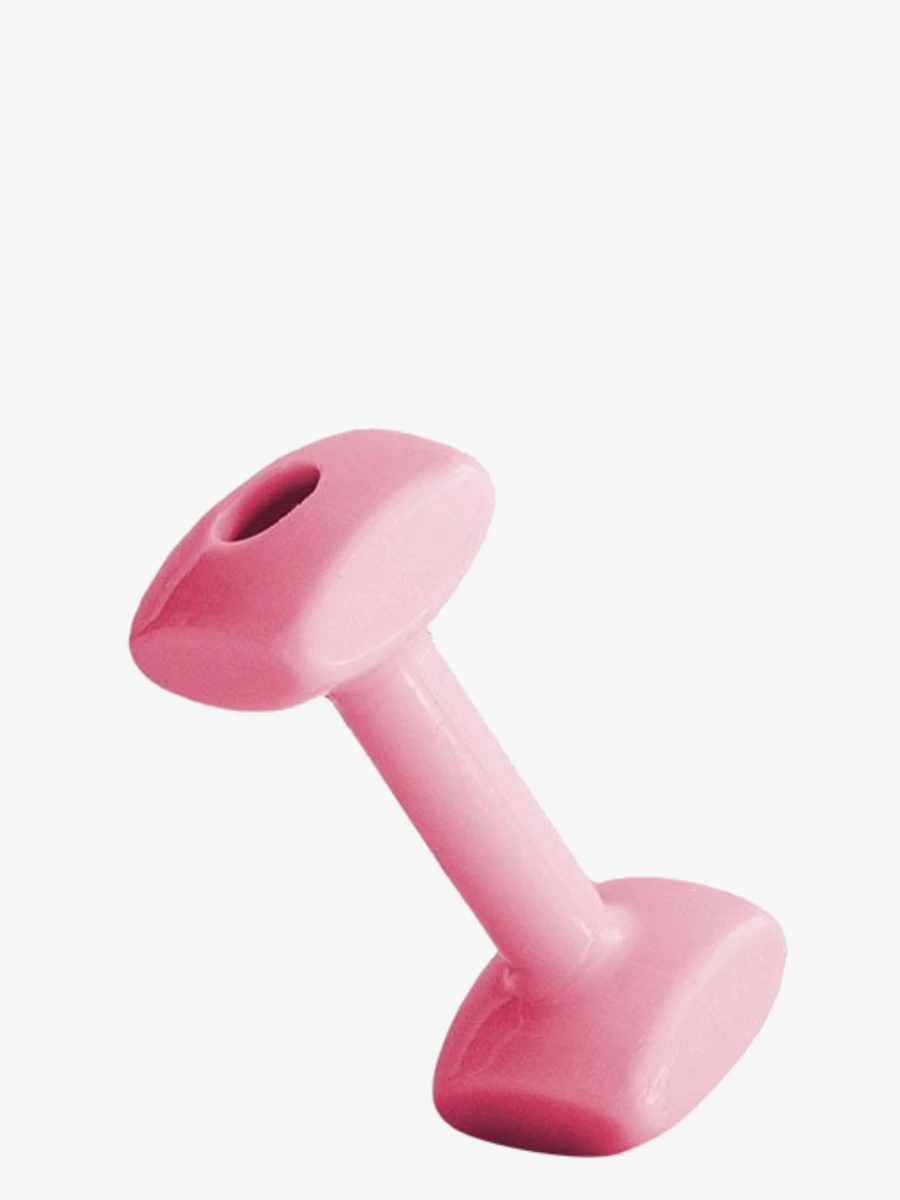 Toy for Puppy